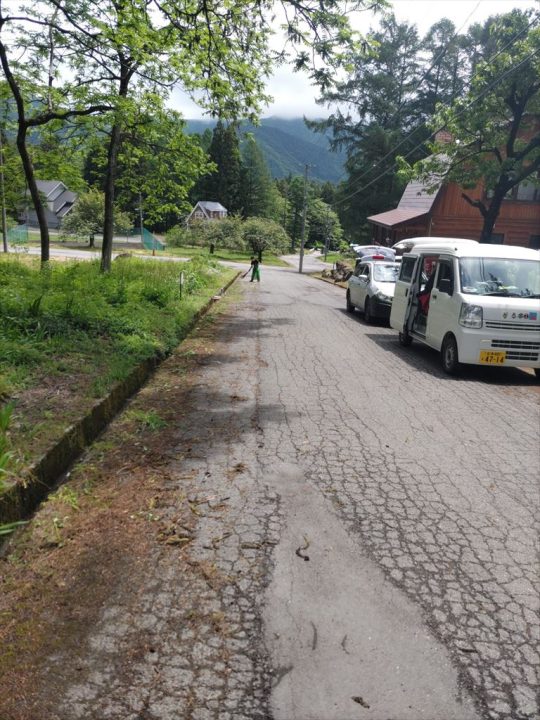 道路沿い刈払 