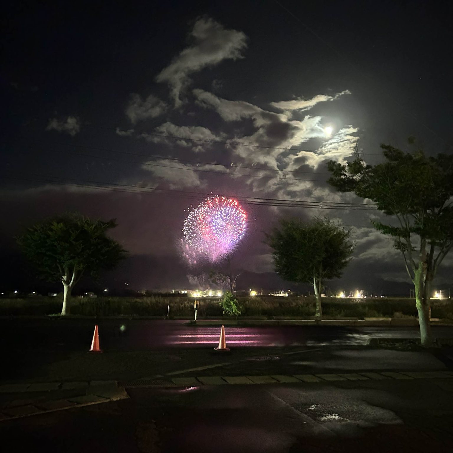 いなわしろ花火大会③