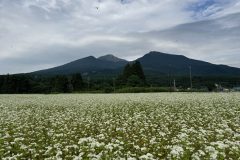 そばの花と磐梯山