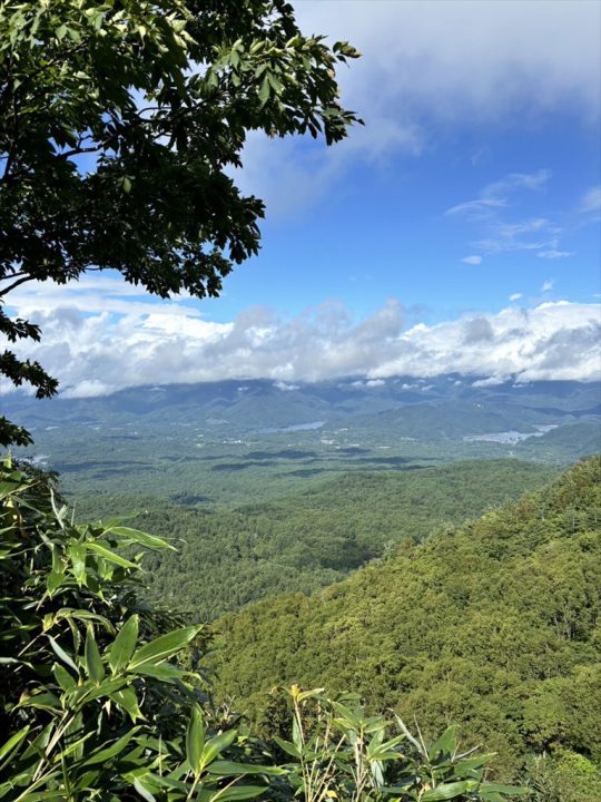 下山中の景色