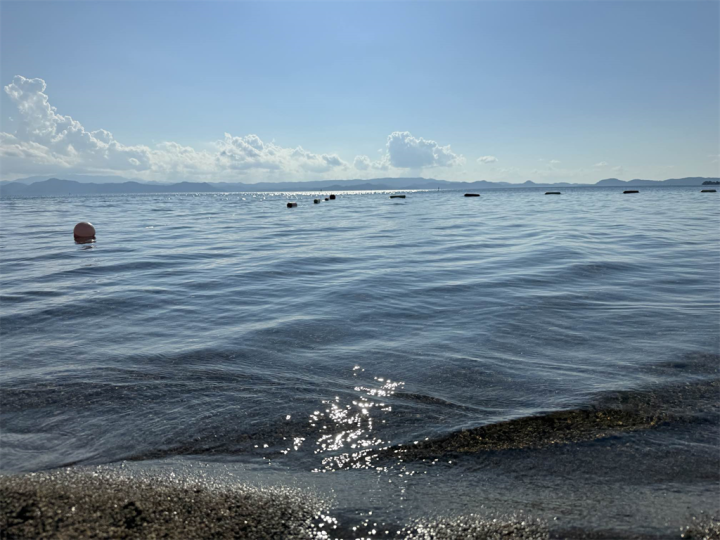 浜辺からの眺め