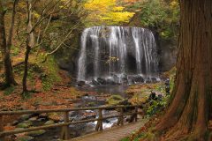 達沢不動滝の紅葉