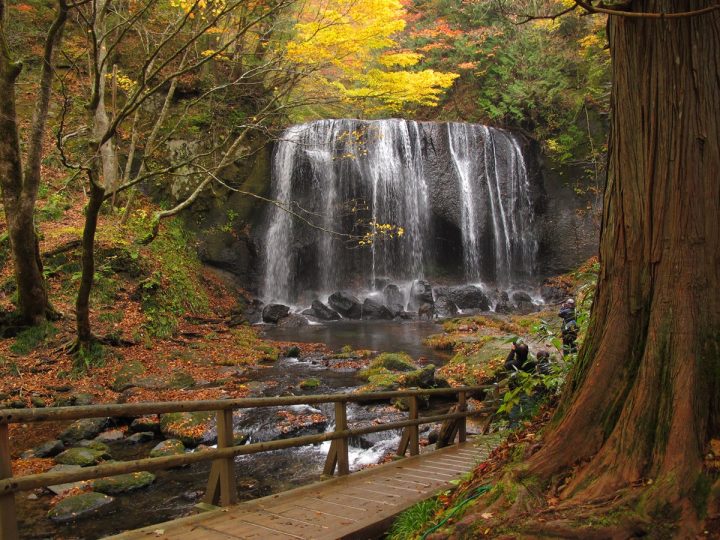 達沢不動滝の紅葉