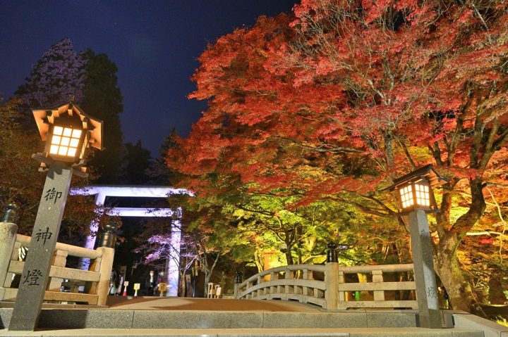 土津神社の紅葉