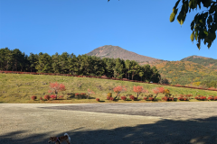 はしゃぐポチと磐梯山