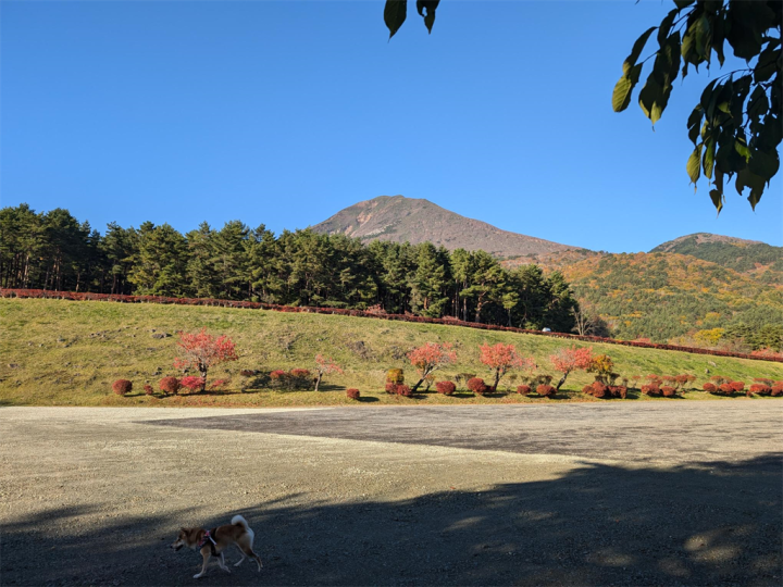 はしゃぐポチと磐梯山