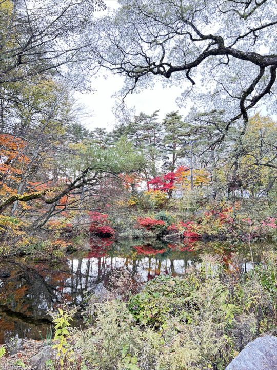 裏磐梯の紅葉②