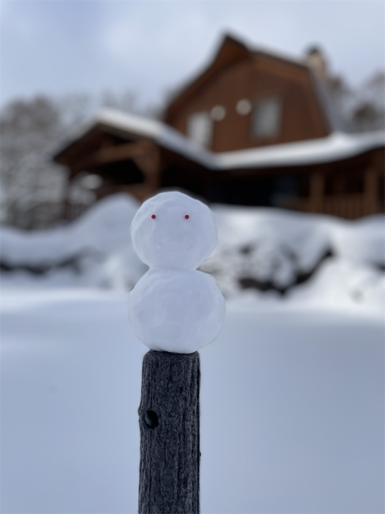 雪だるまと24号館