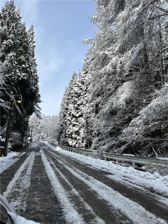 しゃくなげ平入口の坂道