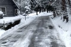 しゃくなげ20号館前車道（除雪後）