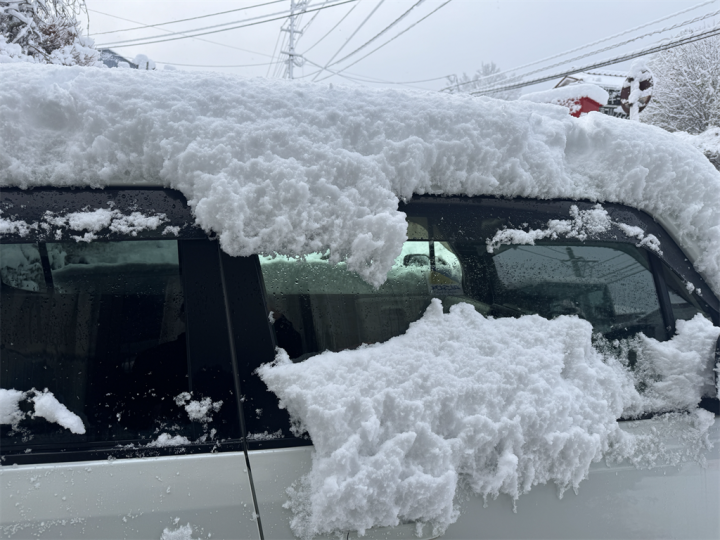 車の雪